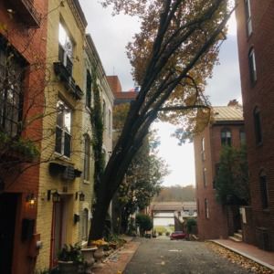 Meet your Posher, Michelle